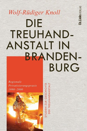 Die Treuhandanstalt in Brandenburg: regionale Privatisierungspraxis 1990-2000