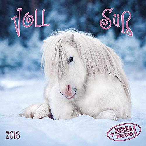 Voll Süß 2020 Kalender 2020