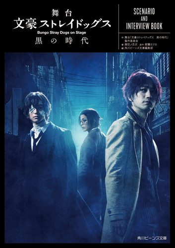   SCENARIO AND INTERVIEW BOOK