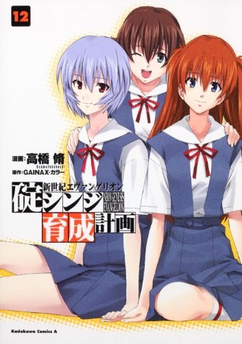 Neon Genesis Evangelion - Ikari Shinji Nurturing Plan - Vol. 12