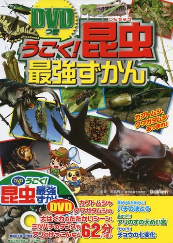 DVD!