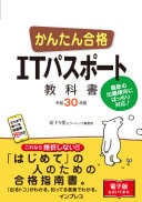  IT 30
