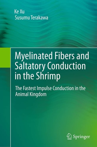 Myelinated Fibers and Saltatory Conduction in the Shrimp The Fastest Impulse Conduction in the Animal Kingdom