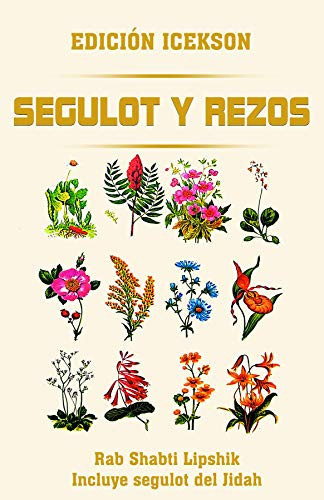 Segulot Israel (Spanish Edition)