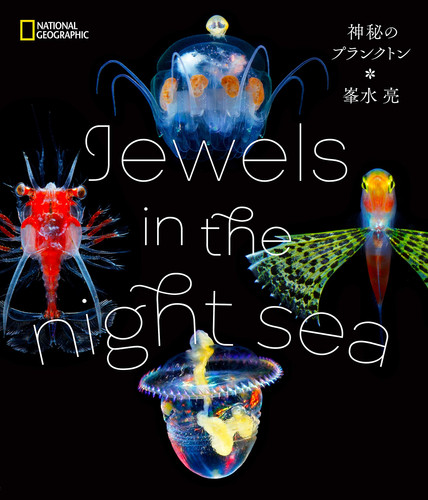 Jewels in the night sea 