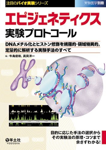  DNA