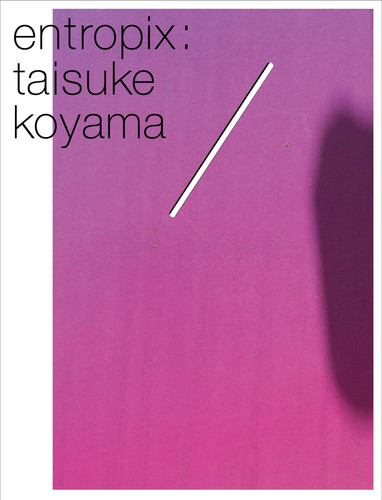 Entropix Taisuke Koyama