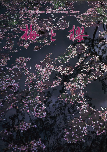 The Mume and the Flowering Cherry