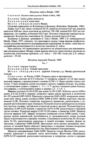 Нижне- и среднедевонские брахиоподы Дальнего Востока России и Монголии строфомениды и хонетиды