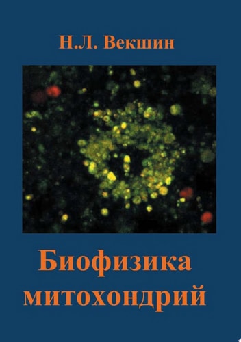 Биофизика митохондрий