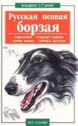 Russian Borzoi / Russkaya psovaya borzaya