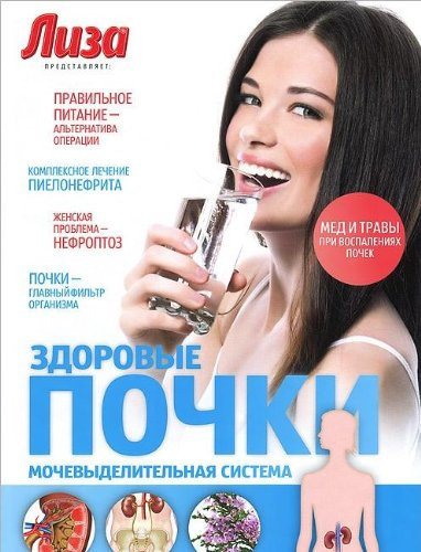 Здоровые почки : мочевыделительная система