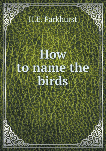 How to name the birds