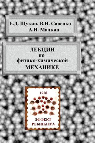 Lectures on Physicochemical Mechanics (Russian Edition)