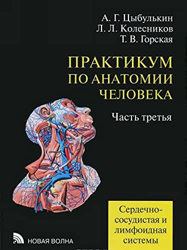 Praktikum po anatomii cheloveka. V 4-h chastyah. Chast 3. Serdechno-sosudistaya i limfoidnaya sistemy