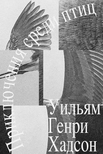 Priklyucheniya sredi ptic / Приключения среди птиц