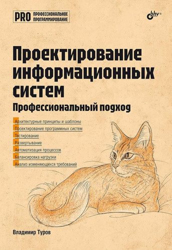 Proektirovanie informacionnyh sistem. Professionalnyj podhod