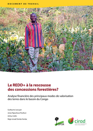 Le REDD+ à la rescousse des concessions forestières? Analyse financière des principaux modes de valorisation des terres dans le bassin du Congo
