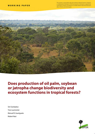 Does production of oil palm, soybean, or jatropha change biodiversity and ecosystem functions in tropical forests