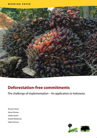 Deforestation-free commitments The challenge of implementation – An application to Indonesia