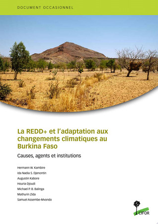 La REDD+ et l’adaptation aux changements climatiques au Burkina Faso Causes, agents et institutions