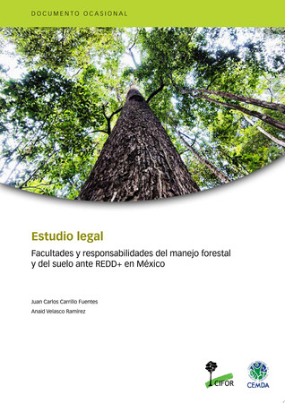 Estudio legal: Facultades y responsabilidades del manejo forestal y del suelo ante REDD+ en México