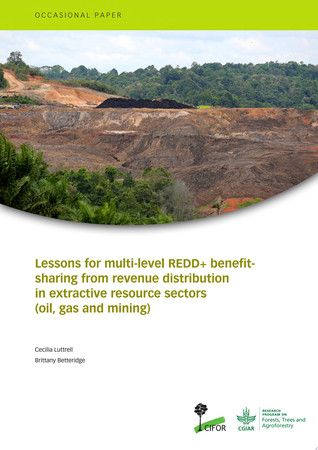 Lessons for multi-level REDD+ benefit-sharing from revenue distribution in extractive resource sectors (oil, gas and mining)