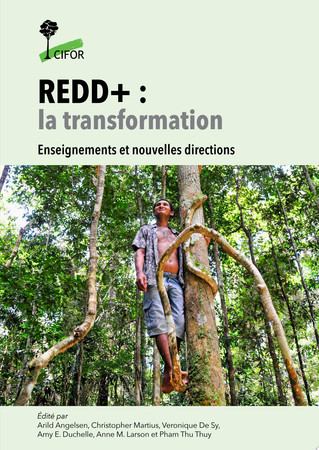 REDD+ : la transformation Enseignements et nouvelles directions
