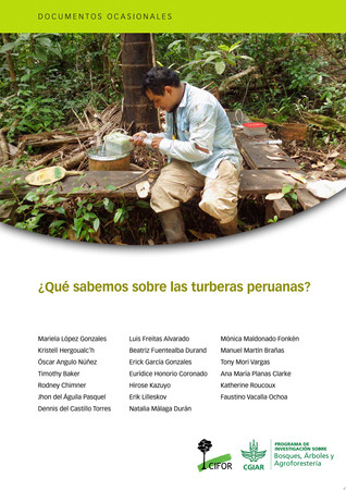 ¿Qué sabemos sobre las turberas peruanas?