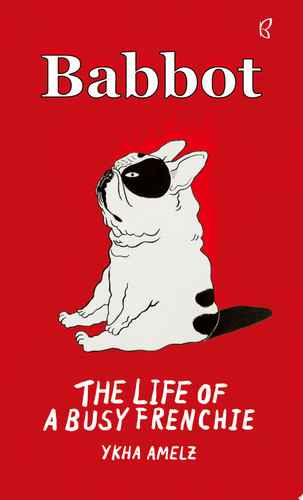 Babbot The Life of A Busy Frenchie
