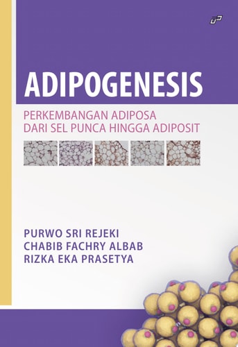 ADIPOGENESIS Perkembangan Adiposa dari Sel Punca Hingga Adiposit