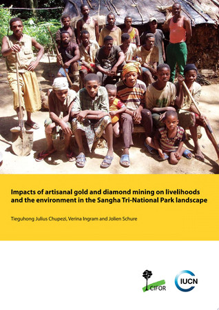 Impacts of artisanal gold and diamond mining on livelihoods and the environment in the Sangha Tri-National Park landscape