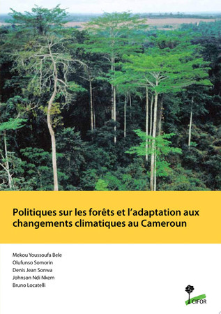 Politiques sur les forêts et l’adaptation aux changements climatiques au Cameroun
