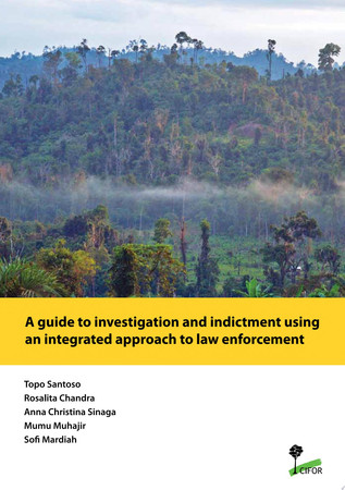 A guide to investigation and indictment using an integrated approach to law enforcement