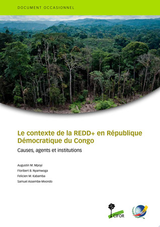 Le contexte de la REDD+ en République Démocratique du Congo Causes, agents et institutions