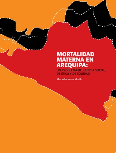 Mortalidad materna en Arequipa un problema de justicia social, de ética y de equidad