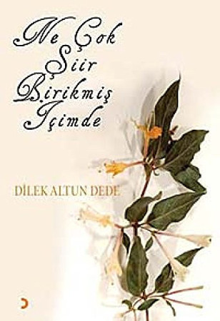 Ne Cok Siir Birikmis Icimde