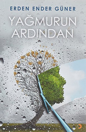 Yagmurun Ardindan