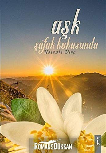 Ask Safak Kokusunda