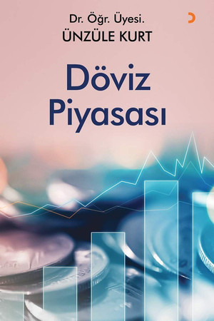 Döviz Piyasasi