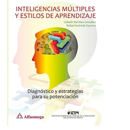 Inteligencias múltiples y estilos de aprendizaje diagnóstico y estrategias para su potenciación