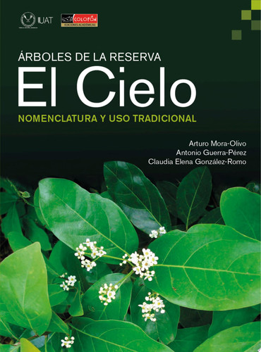 Árboles de la reserva El Cielo