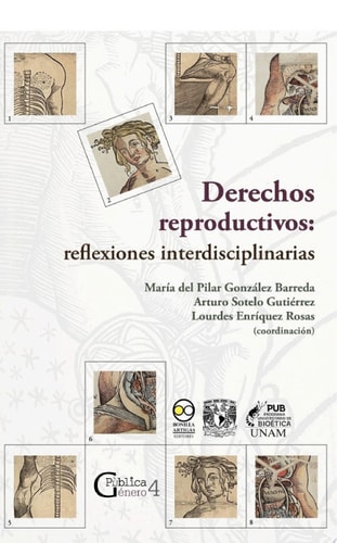 Derechos reproductivos: reflexiones interdisciplinarias