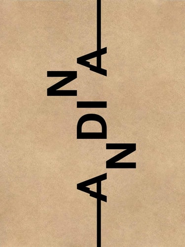 Andina