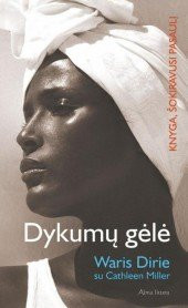 Dykumu gele