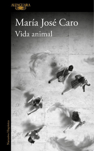 Vida animal