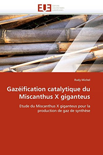 Gazéification Catalytique Du Miscanthus X Giganteus