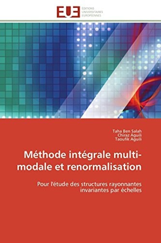 Méthode Intégrale Multi-Modale et Renormalisation Pour l'Étude des Structures Rayonnantes Invariantes Par Échelles