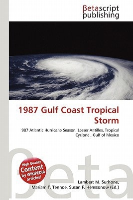 1987 Gulf Coast Tropical Storm