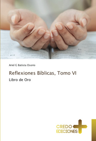 Reflexiones Bíblicas, Tomo VI: Libro de Oro (Spanish Edition)